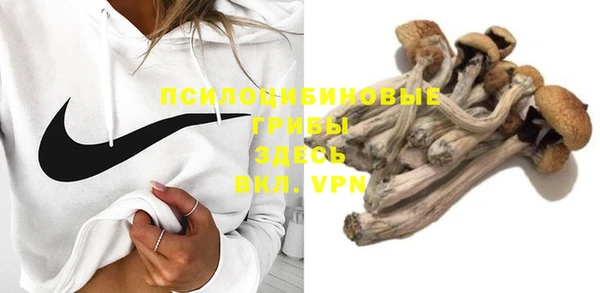 стаф Елабуга