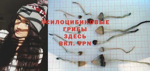 ECSTASY Елизово