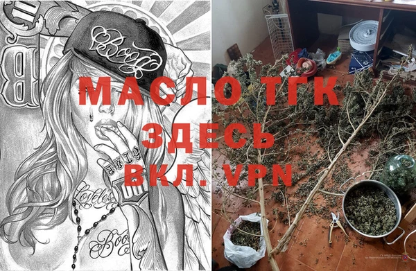 стаф Елабуга