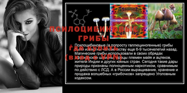 стаф Елабуга