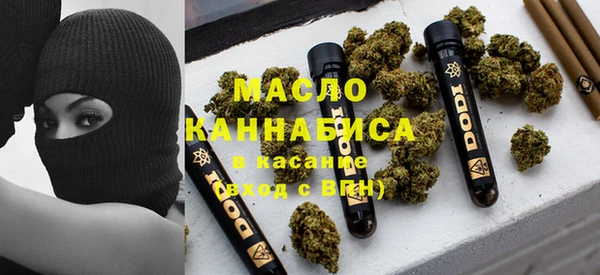 ECSTASY Елизово