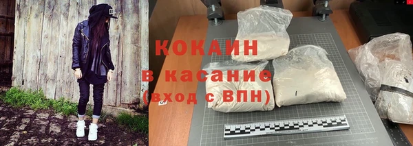 ECSTASY Елизово