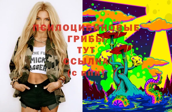 стаф Елабуга