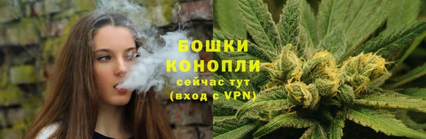 ECSTASY Елизово