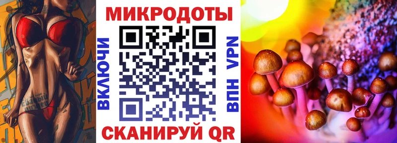 магазин продажи Верхоянск Галлюциногенные грибы Cubensis
